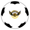 オリジナル記念サッカーボール サムネイル